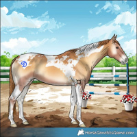 Horse Color:Red Onyx Tobiano 