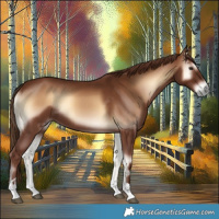 Horse Color:Red Onyx Tobiano 