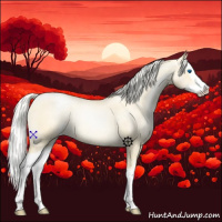 Horse Color:Palomino Roan Pearl Sabino Splash 