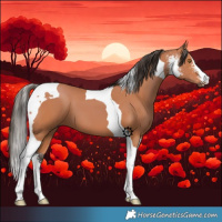 Horse Color:Bay Sabino Tobiano