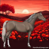 Horse Color:Silver Black Sabino 
