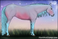 Horse Color:Watercolor Bay 