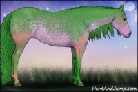 Horse Color:Watercolor Buckskin 
