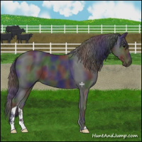 Horse Color:Nacre Black 
