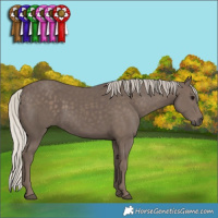 Horse Color:Silver Black 