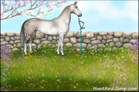 Horse Color:Gray Bay Dun Sabino