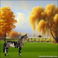 Horse Color:Brown Dun Tobiano  and Void Brown Tobiano 