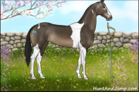 Horse Color:Gray Brown Dun Sabino Tobiano