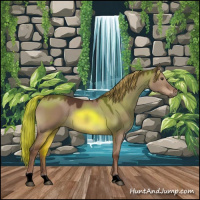 Horse Color:Liver Red Dun Rabicano