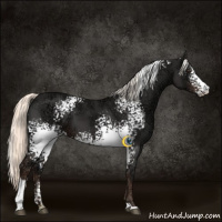 Horse Color:White Spotted Liver Chestnut Ice Mushroom Sabino 