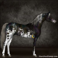 Horse Color:White Spotted Midnight Liver Chestnut Ice Mushroom Rabicano 