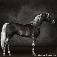Horse Color:White Spotted Midnight Liver Red Onyx Ice Mushroom Sabino 