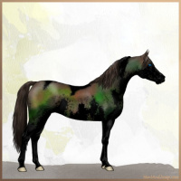 Horse Color:Void White Spotted Liver Chestnut Splash Tobiano 