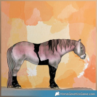 Horse Color:Void Plaid  Liver Red Dun Onyx Tobiano Brindle 