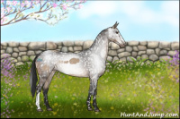 Horse Color:Brown Dun Snowflake Varnish  and Gray Brown Snowflake Varnish 