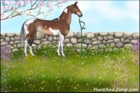 Horse Color:Bay Tobiano 