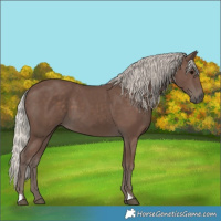 Horse Color:Silver Black 