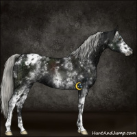 Horse Color:White Spotted Liver Chestnut Ice Mushroom Varnish 