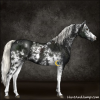 Horse Color:White Spotted Liver Chestnut Ice Mushroom 