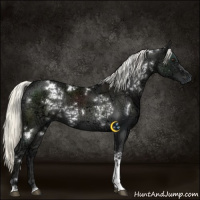 Horse Color:White Spotted Liver Chestnut Ice Mushroom 