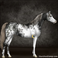 Horse Color:White Spotted Liver Chestnut Ice Mushroom Sabino