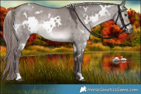 Horse Color:Platinum White Spotted Liver Red Dun Rabicano 
