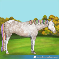 Horse Color:Painted Silver Brown Ice Dun Splash Tobiano 