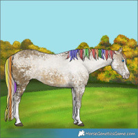 Horse Color:Painted Silver Buckskin Ice Dun Splash Tobiano 