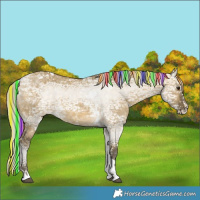 Horse Color:Painted Silver Buckskin Ice Dun Splash Tobiano 