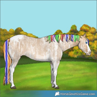 Horse Color:Painted Silver Buckskin Ice Dun Splash Tobiano 
