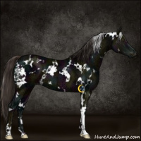 Horse Color:White Spotted Midnight Liver Chestnut Ice 