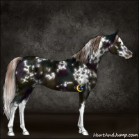 Horse Color:White Spotted Midnight Liver Chestnut Ice Splash 