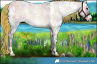 Horse Color:Painted Nacre White Spotted Chocolate Palomino Ice Roan Onyx 