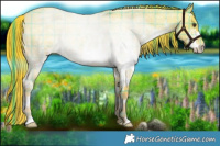 Horse Color:Watercolor Plaid  White Spotted Liver Red Dun Roan 