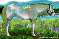 Horse Color:Watercolor White Spotted Liver Red Onyx Tobiano Rabicano