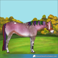Horse Color:Painted Bay Onyx 