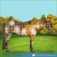 Horse Color:Plaid  Brown Ice Tobiano 