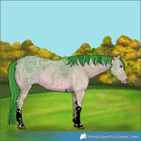Horse Color:Watercolor Bay Ice Dun Tobiano Rabicano 