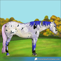 Horse Color:Watercolor White Spotted Bay Ice Dun Rabicano 