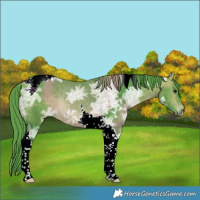 Horse Color:Watercolor Bay Ice Tobiano Rabicano 