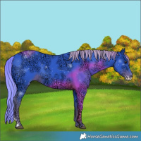Horse Color:Watercolor Liver Chestnut Ice Sabino 