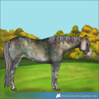 Horse Color:Painted Liver Red Onyx Ice Sabino 
