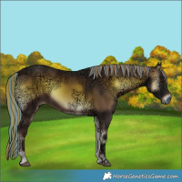 Horse Color:Painted Liver Red Onyx Ice Sabino 