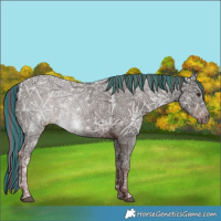 Horse Color:Painted Liver Chestnut Ice Sabino 