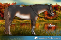 Horse Color:Liver Chestnut Tobiano Rabicano 