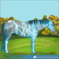 Horse Color:Thunderstruck Liver Chestnut Ice Tobiano 