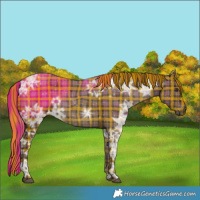 Horse Color:Plaid  White Spotted Liver Chestnut Ice 