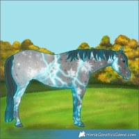Horse Color:Thunderstruck White Spotted Liver Chestnut Ice 