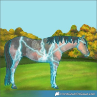 Horse Color:Thunderstruck White Spotted Liver Chestnut Ice 