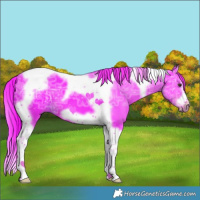 Horse Color:Watercolor Liver Chestnut Ice Splash Tobiano Frame 